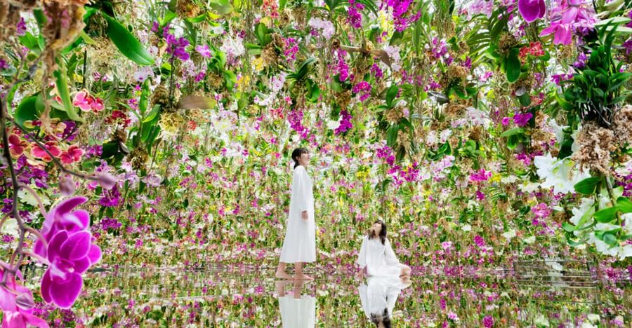 Tokyo: teamLab Planets TOKYO Digital Art Museum Entry Ticket - Mirrors, light, and the five-senses approach