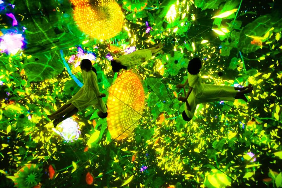 Tokyo: teamLab Planets TOKYO Digital Art Museum Entry Ticket - Getting the best value from a $25 ticket