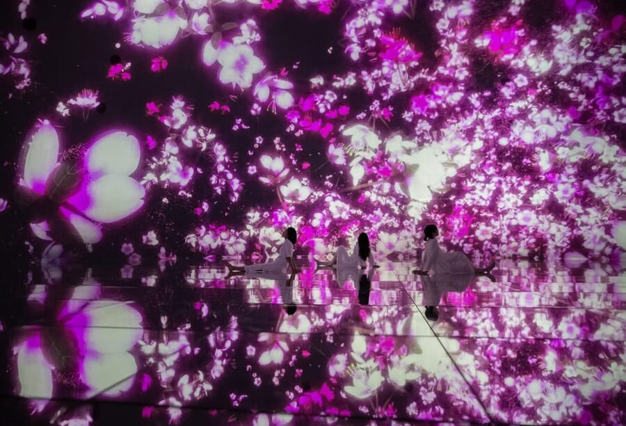 Tokyo: teamLab Planets TOKYO Digital Art Museum Entry Ticket - Who will enjoy teamLab Planets most