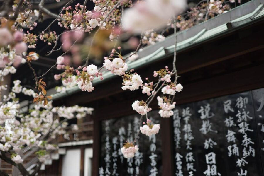 Tokyo to Kawagoe: Private Historical Day Trip - What the six-hour format feels like