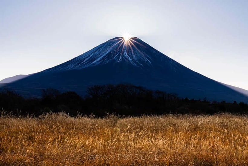 Tokyo To Mount FUJI Day Trip With English guide - Why a Private Mount Fuji Day Works So Well