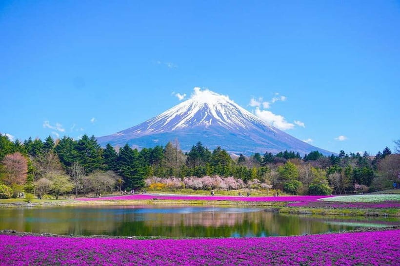 Tokyo To Mount FUJI Day Trip With English guide - Oshino Hakkai: Water, Thatched Roofs, and Fuji Views