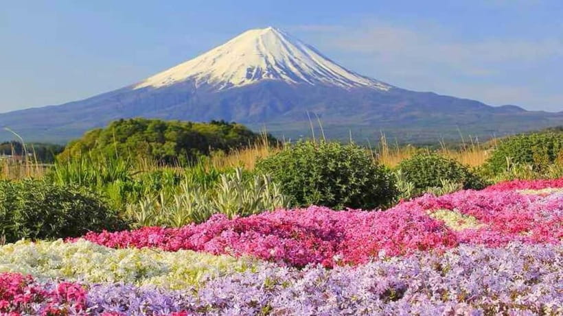 Tokyo To Mount FUJI Day Trip With English guide - Fuji Subaru Line 5th Station at About 2,300 Metres