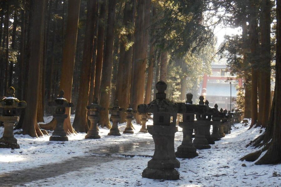 Tokyo To Mount FUJI Day Trip With English guide - Hakone Finishes the Day with a Boat Cruise