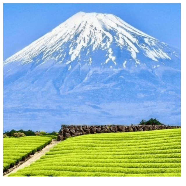 “Tokyo to Mt. Fuji & Hakone: Private Customizable Day Trip” - Mt. Fuji 5th Station: the highest road-access stop