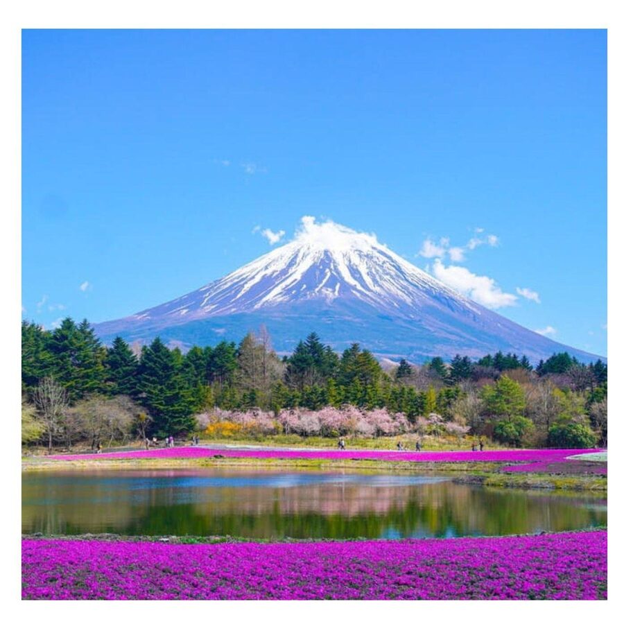 “Tokyo to Mt. Fuji & Hakone: Private Customizable Day Trip” - Arakurayama Sengen Park and Chureito Pagoda