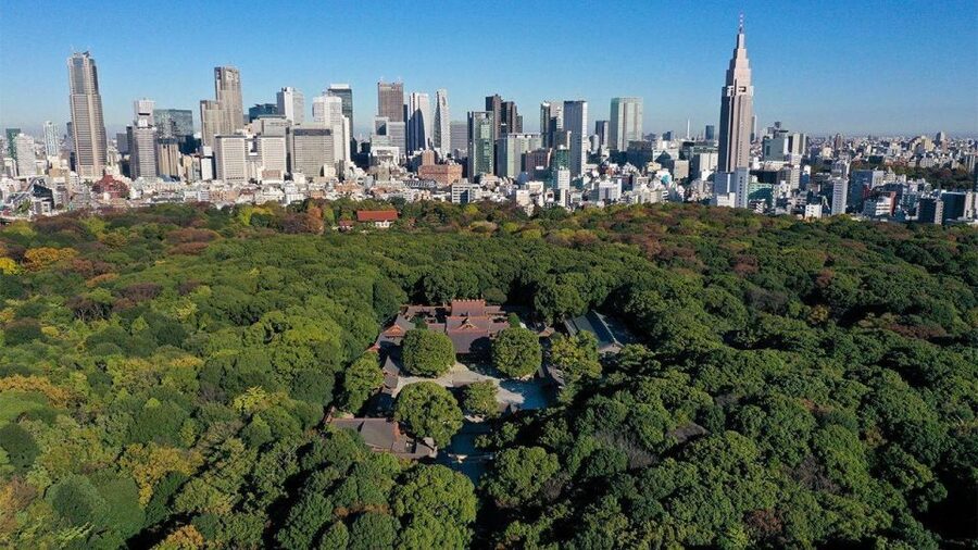 Tokyo: Tokyo Private Day Tour With Guide - Meiji Jingu: forest, torii gates, and a calmer Tokyo
