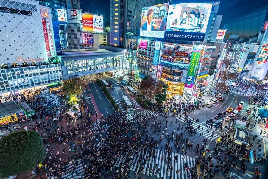 Tokyo: Tokyo Private Day Tour With Guide - Shibuya Crossing: Tokyo’s famous moving picture