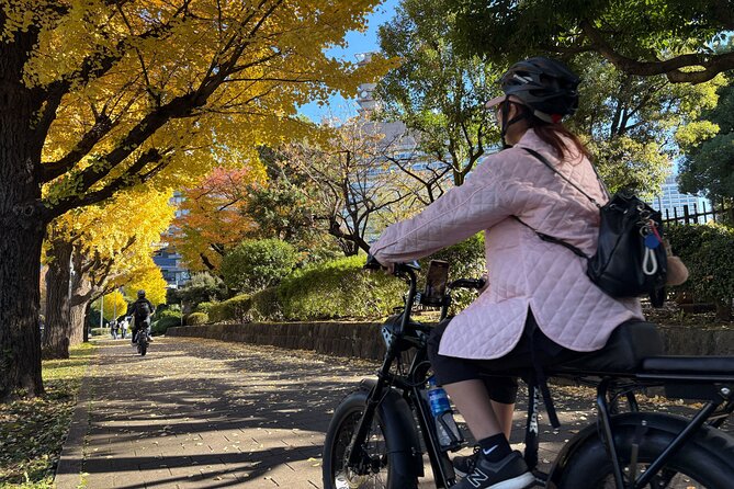 Tokyo Top Highlights 3h Guided E-bike Tour - Tokyo Tower Route, temples and government buildings