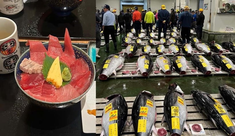 Tokyo Toyosu Tuna Auction + Breakfast (Sushi Dai or Bentomi) - Choosing between the 3rd-floor gallery and ground-level deck