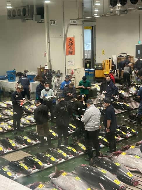 Tokyo Toyosu Tuna Auction + Breakfast (Sushi Dai or Bentomi) - Should you book the Toyosu tuna auction tour?