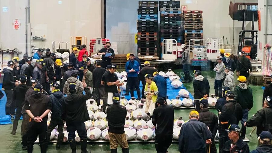 Tokyo: Toyosu Tuna Auction &Tsukiji Market Gourmet Adventure - Tsukiji is smaller, more personal, and easier to browse