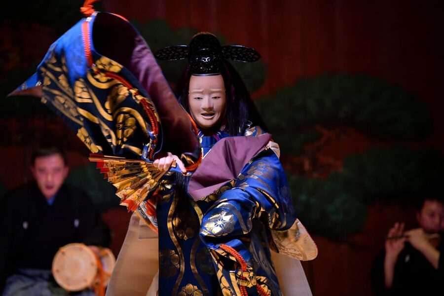 Tokyo: Traditional Japanese Performing Arts Show and Dinner - Who will enjoy this experience most