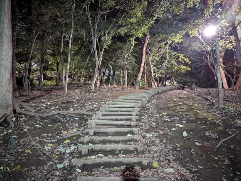 Tokyo: True Crime And Ghost Stories Tour - Practical details worth knowing before you go