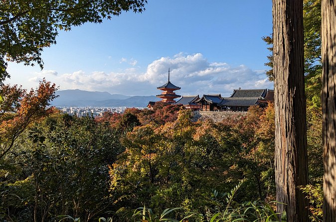 Tour in Kyoto with a Goverment Certified Tour Guide - Arashiyama and Tenryu-ji need more than a quick glance