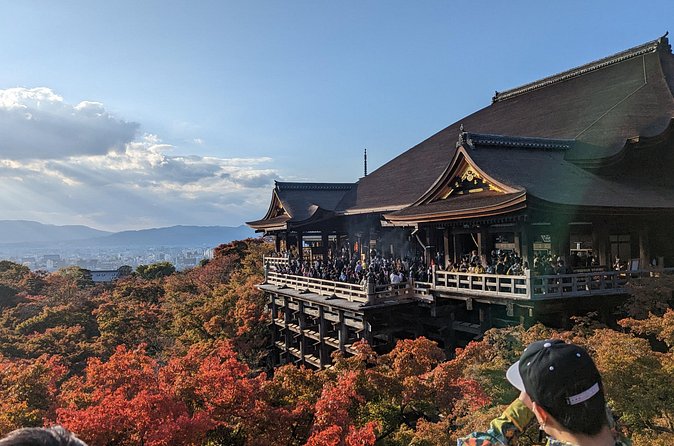 Tour in Kyoto with a Goverment Certified Tour Guide - Timing, transport, and the risk of a rushed day