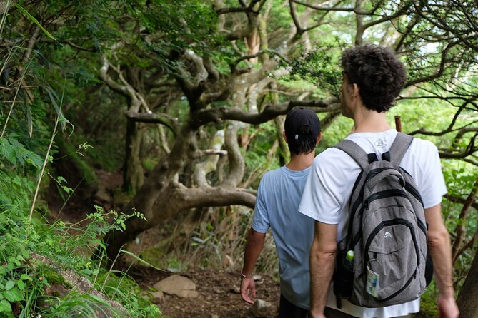 Traverse Outer Rim of Hakone Caldera and Enjoy Onsen Hiking Tour - A short descent toward Lake Ashi