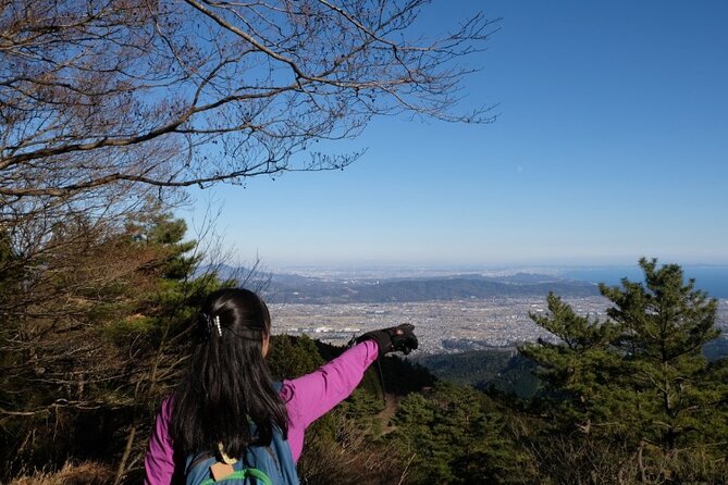 Traverse Outer Rim of Hakone Caldera and Enjoy Onsen Hiking Tour - An onsen with indoor and outdoor baths