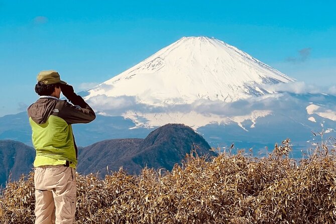 Traverse Outer Rim of Hakone Caldera and Enjoy Onsen Hiking Tour - The 90-minute climb from Sengokuhara