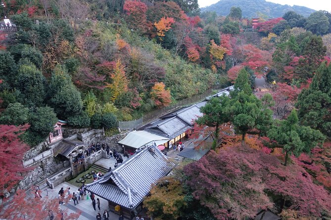 TREASURES of Kyoto: Fushimi Inari, Kiyomizu Temple, and more! - What the included taxis really add