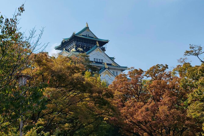 Ultimate Osaka Walking Tour: Castle, Dotonbori & Hidden Gems - Amemura and the city’s younger side