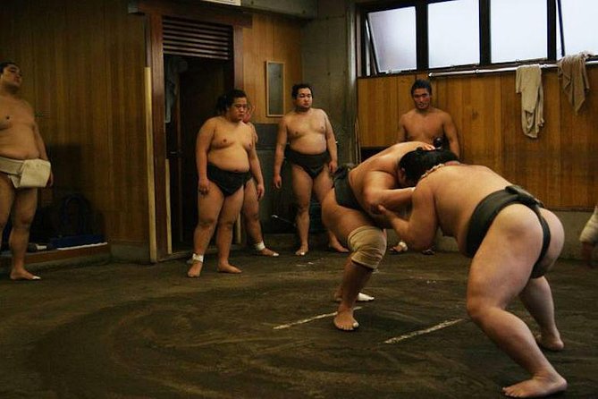 Watch Sumo Morning Practice at Stable in Tokyo - Silence Is Part of the Experience