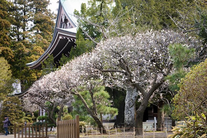 When Emperors Reigned and Shoguns Ruled - The Great Buddha gives Kamakura its famous image