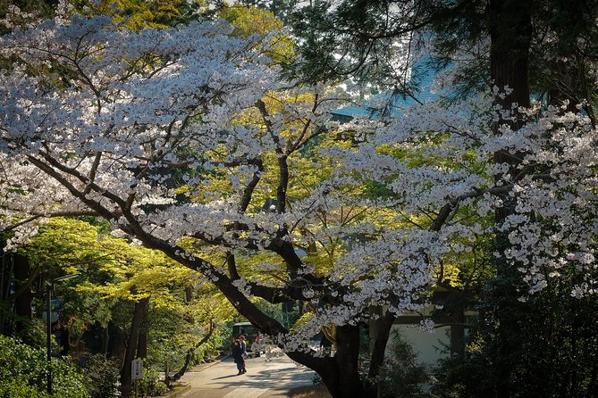 When Emperors Reigned and Shoguns Ruled - Hasedera finishes the route with gardens and Kannon