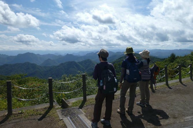 Wild Bird Sanctuary Forest Guided Tour in Nagano - What you may see, and what you may not