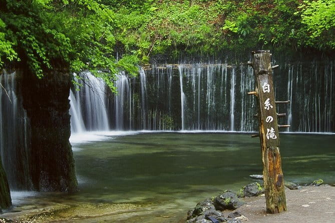 Wild Bird Sanctuary Forest Guided Tour in Nagano - Weather, snow, and a flexible pace