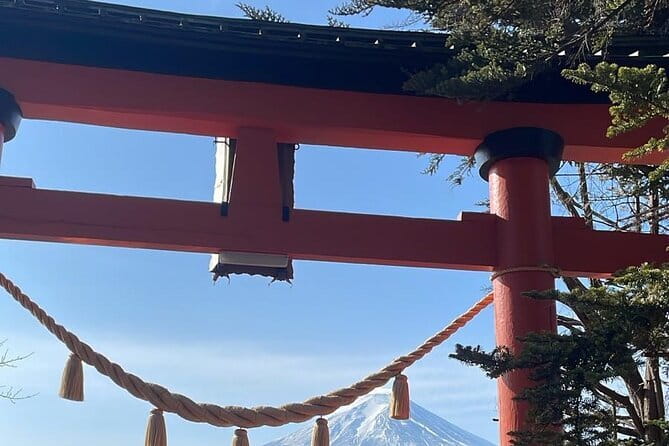 Winter Special: Clear View Mt. Fuji E-Bike Tour - Fuji City’s spring-water stops