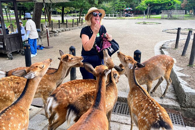 World Heritage Kyoto & Nara Uji Authentic Matcha Experience - Key points to know before booking