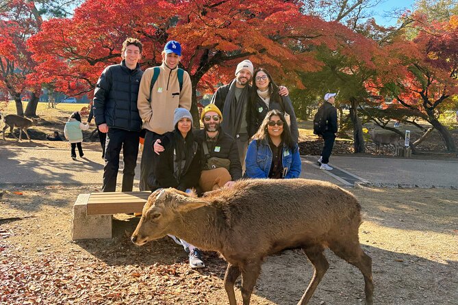 World Heritage Kyoto & Nara Uji Authentic Matcha Experience - The road from Kyoto to Nara