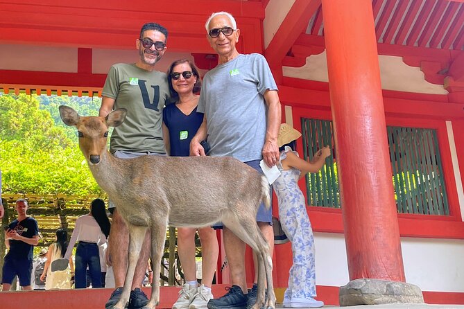 World Heritage Kyoto & Nara Uji Authentic Matcha Experience - Lunch beside the Uji River