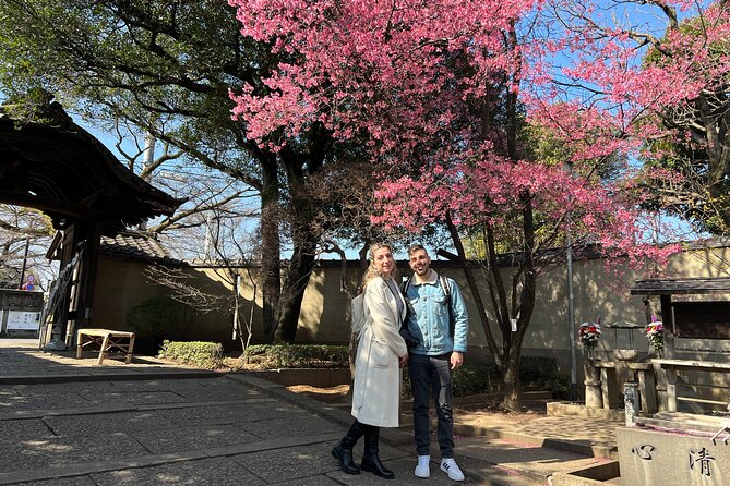 Yanaka Walking Tour: Historic and Traditional District of Tokyo - Yanaka Cemetery and the quieter side of Tokyo